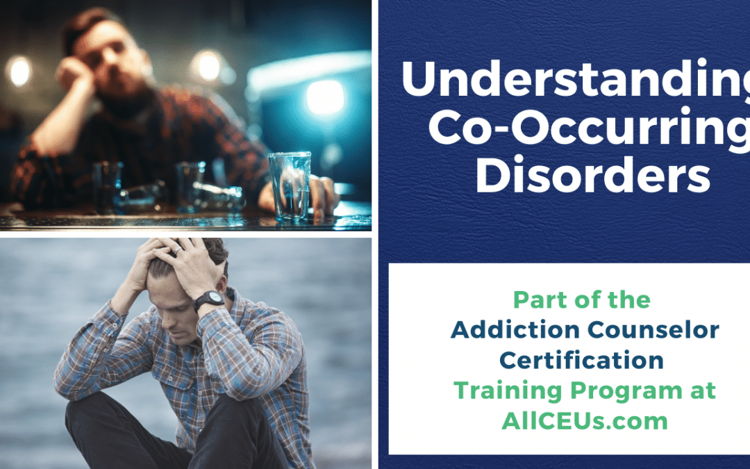 Effects of Co Occurring Disorders Addiction Counselor Certification with Dr. Dawn-Elise Snipes