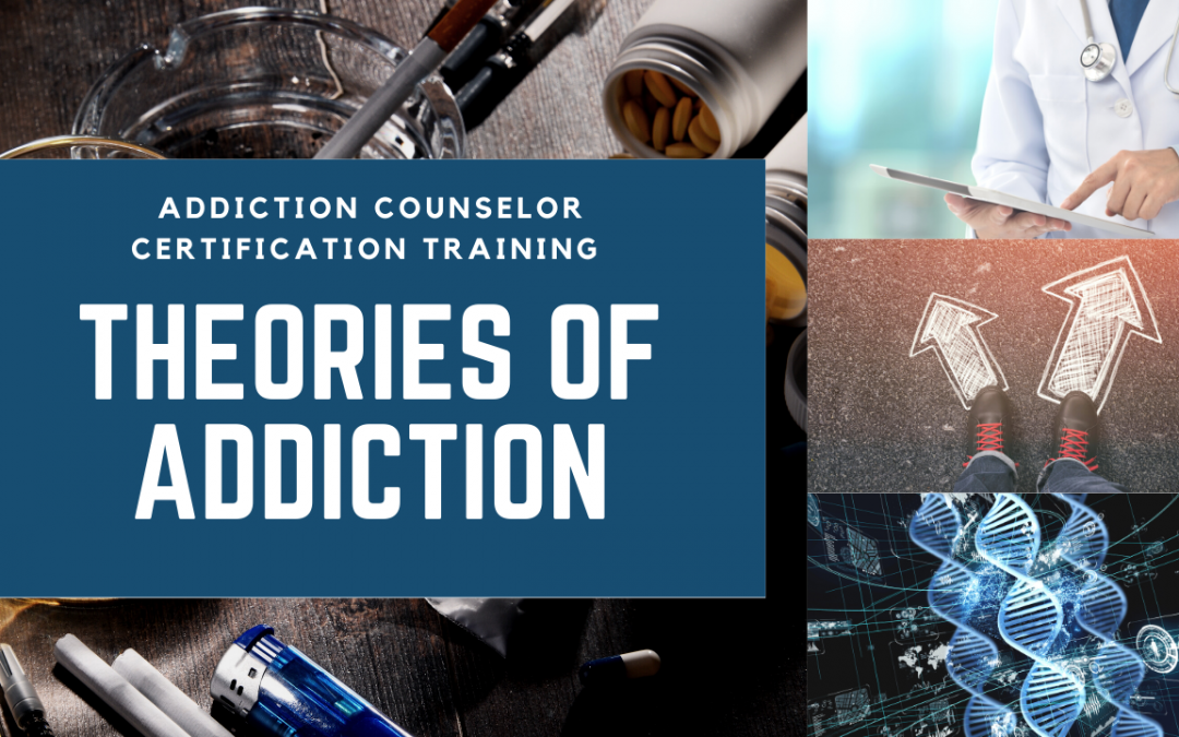 Models and Theories Live Addiction Counselor Certification Training at AllCEUs