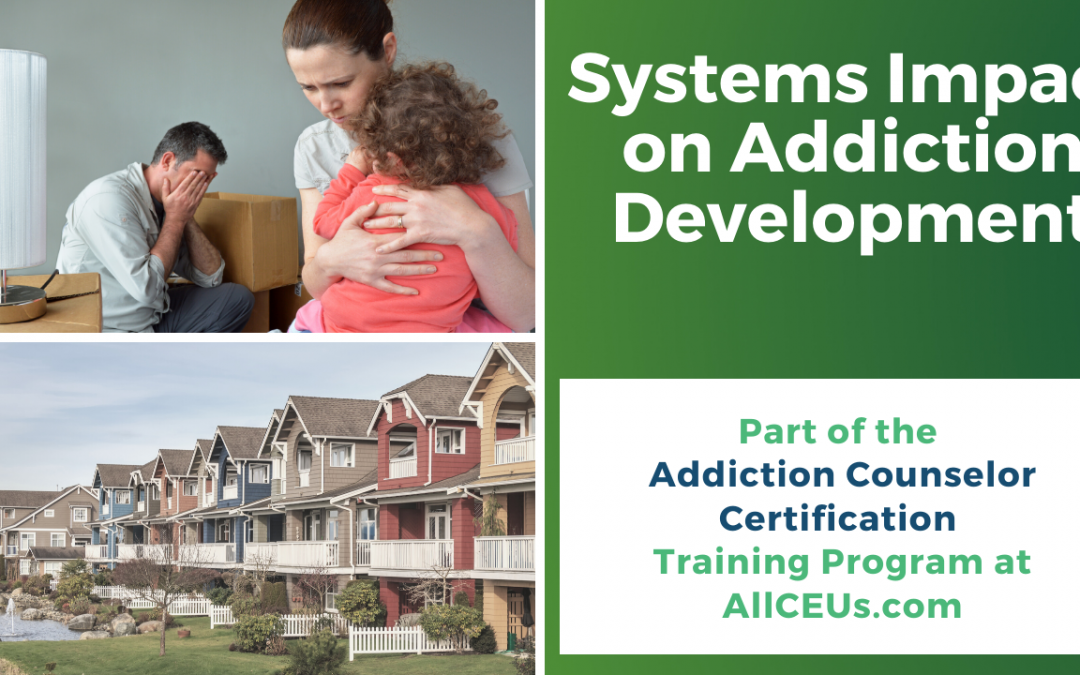 Systems Impact on Mood and Addictive Disorders for Addiction Counselors -Dr. Dawn-Elise Snipes
