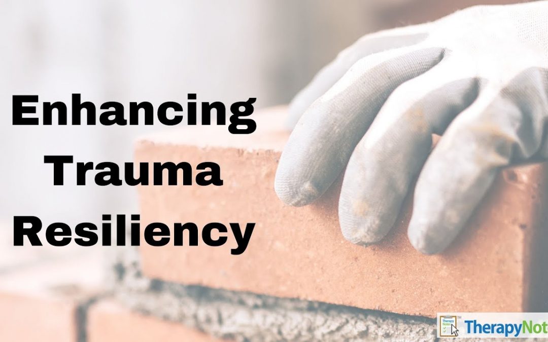 Enhancing Trauma Resiliency with Dr. Dawn Elise Snipes