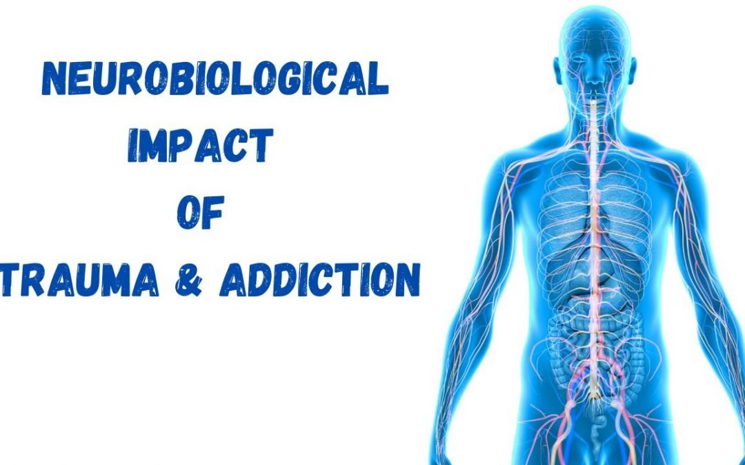 The Neurobiological Impact of Trauma and Addiction