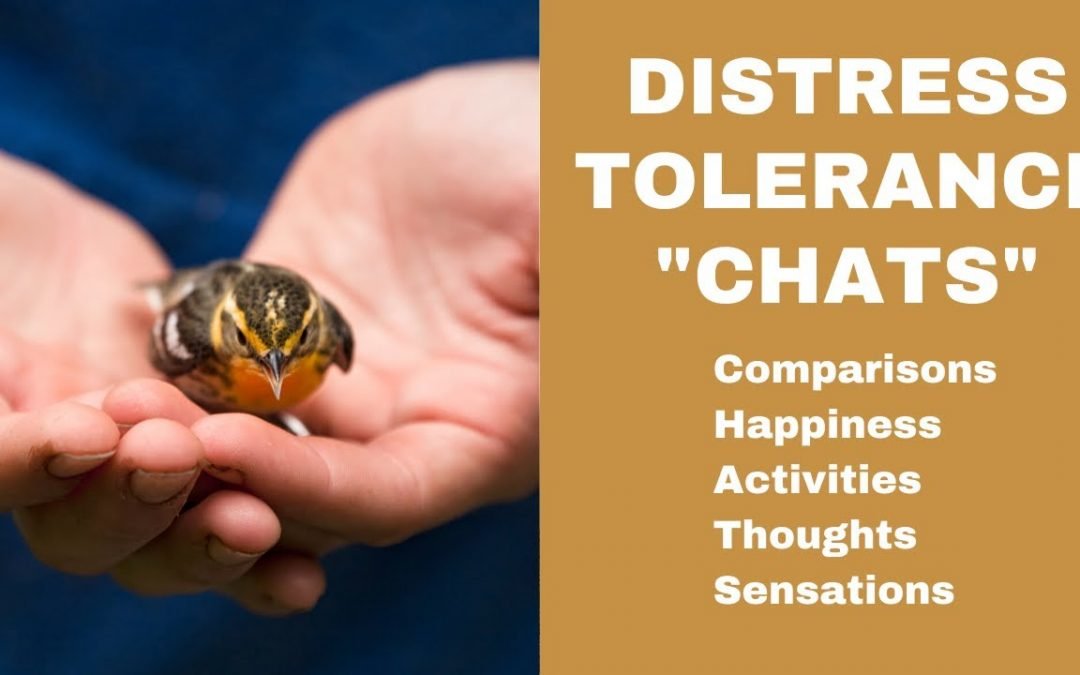 Quickstart Guide to Distress Tolerance