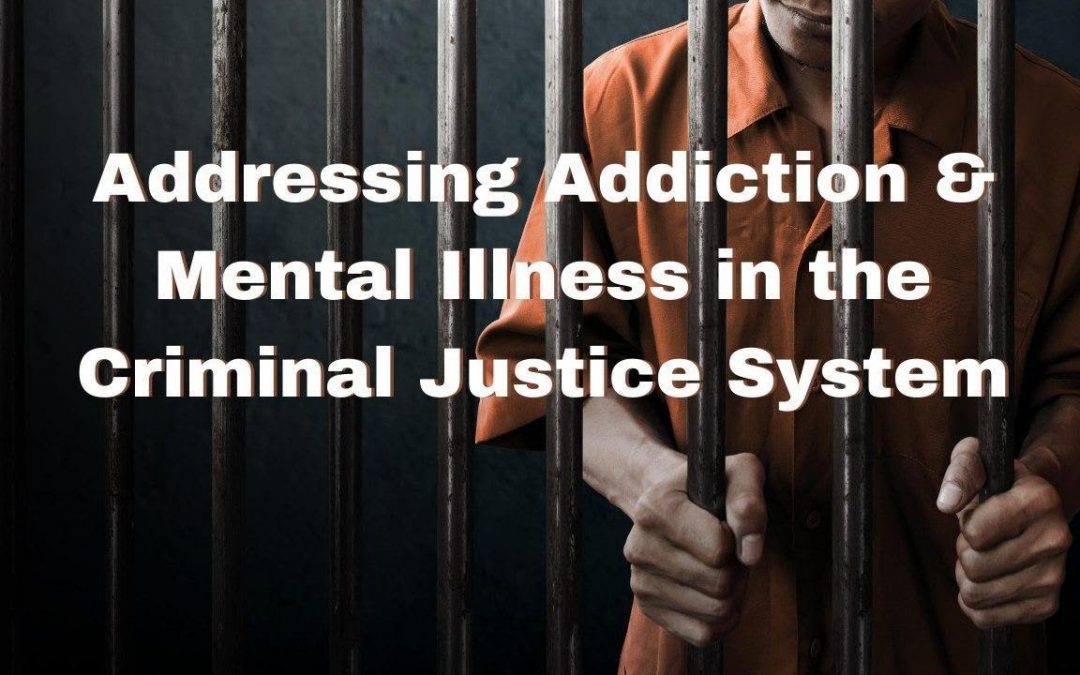 Substance Abuse Treatment for Adults in the Criminal Justice System TIP 44