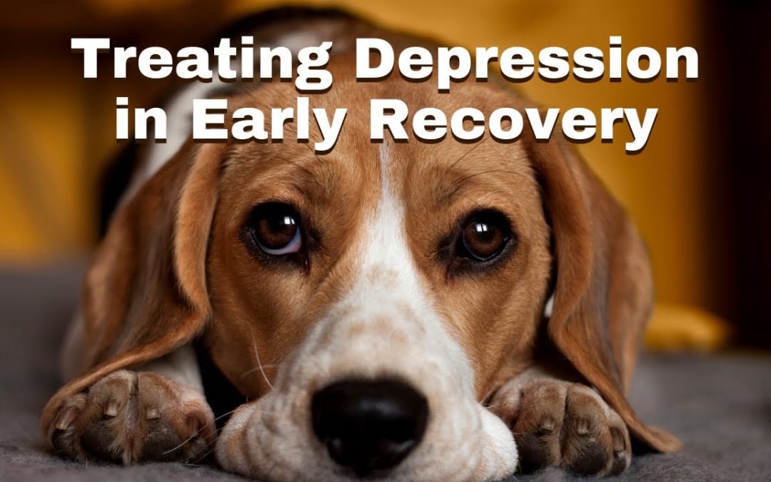 Treatment Planning for Depression