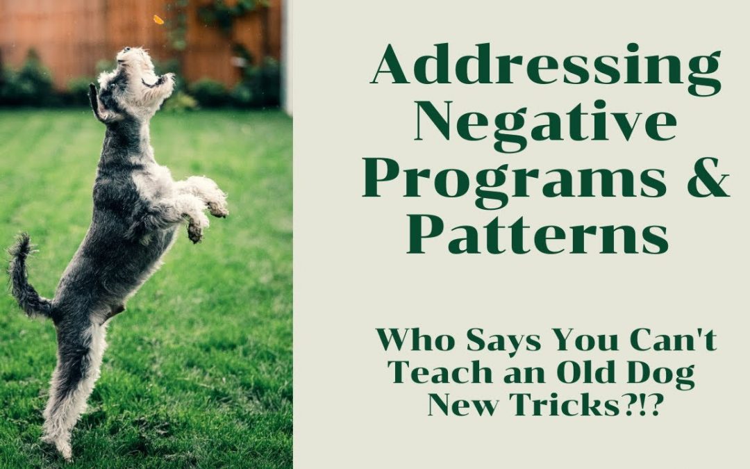 Changing Negative Patterns and Programs : PACER Integrated Behavioral Health