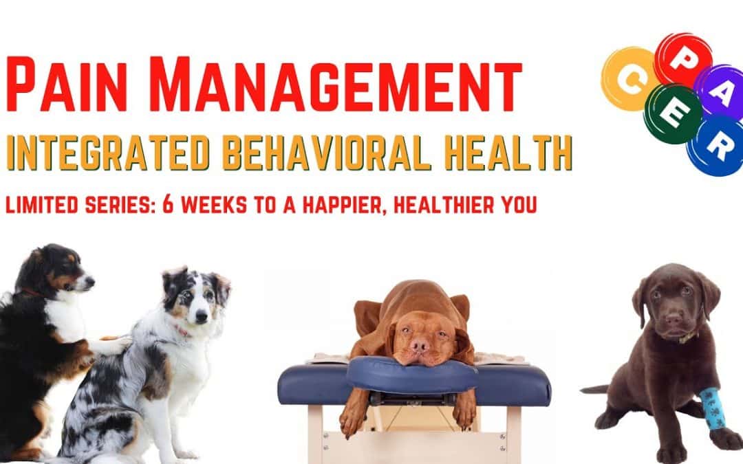 Pain Management: 6 Weeks to a Happier, Healthier You
