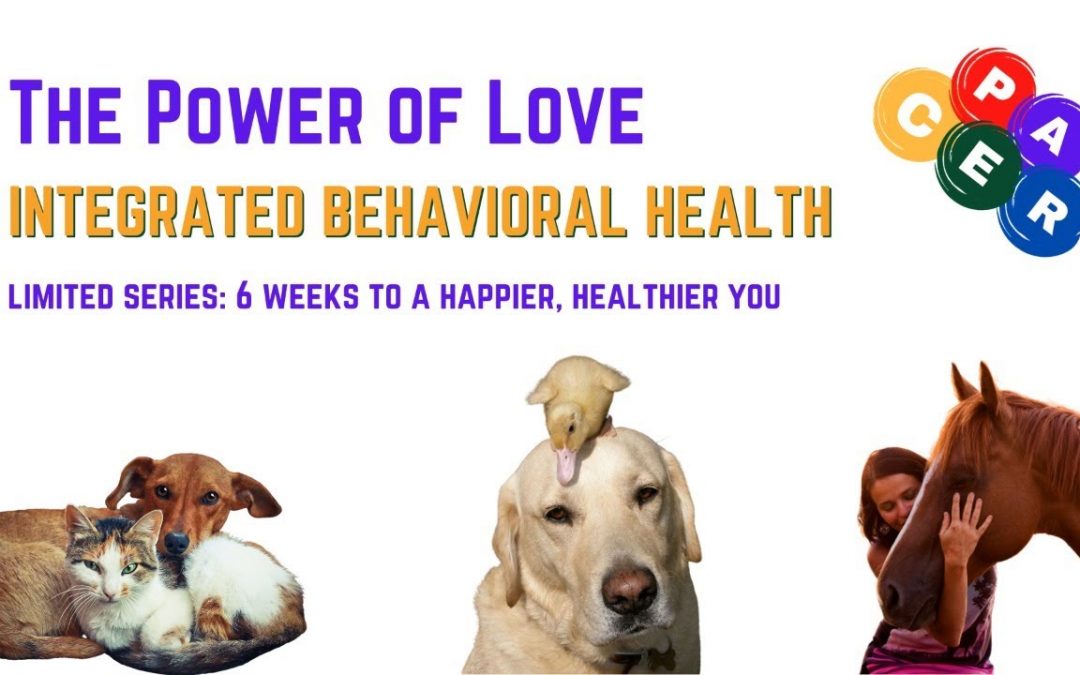 The Power of Love: 6 Weeks to a Happier, Healthier You