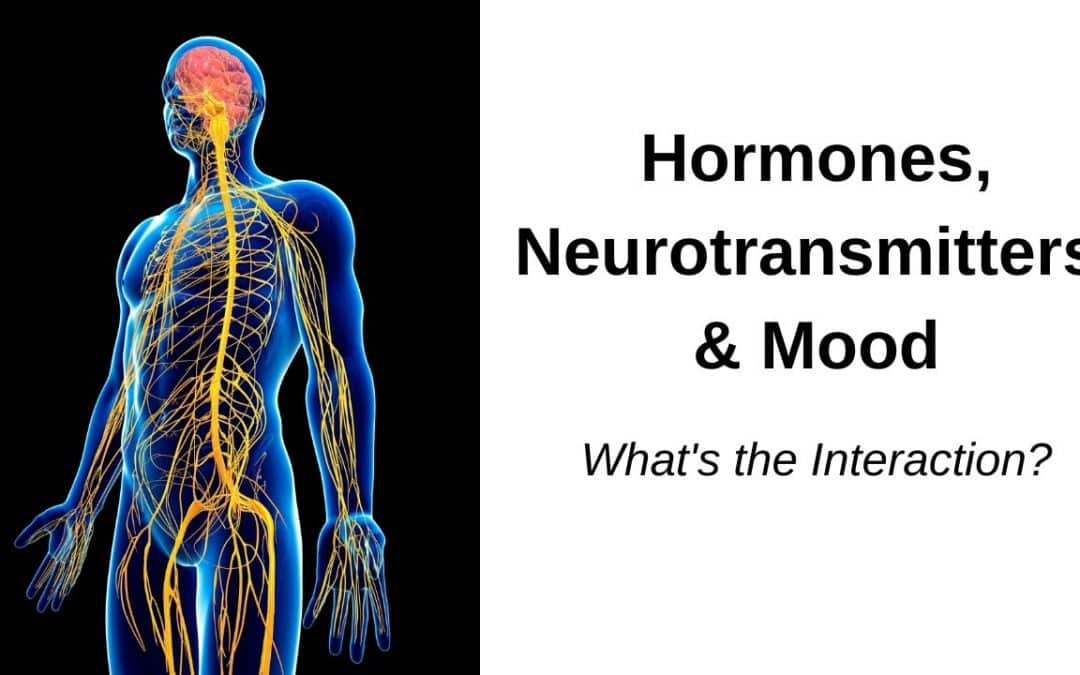 Interactions of Hormones and Neurotransmitters