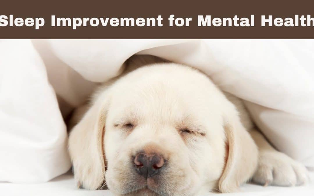 Sleep And Mental Health