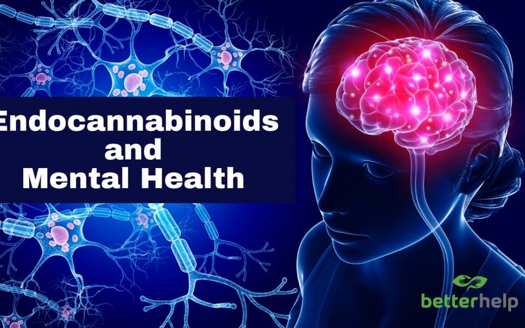 Endocannabinoids and Mental Health