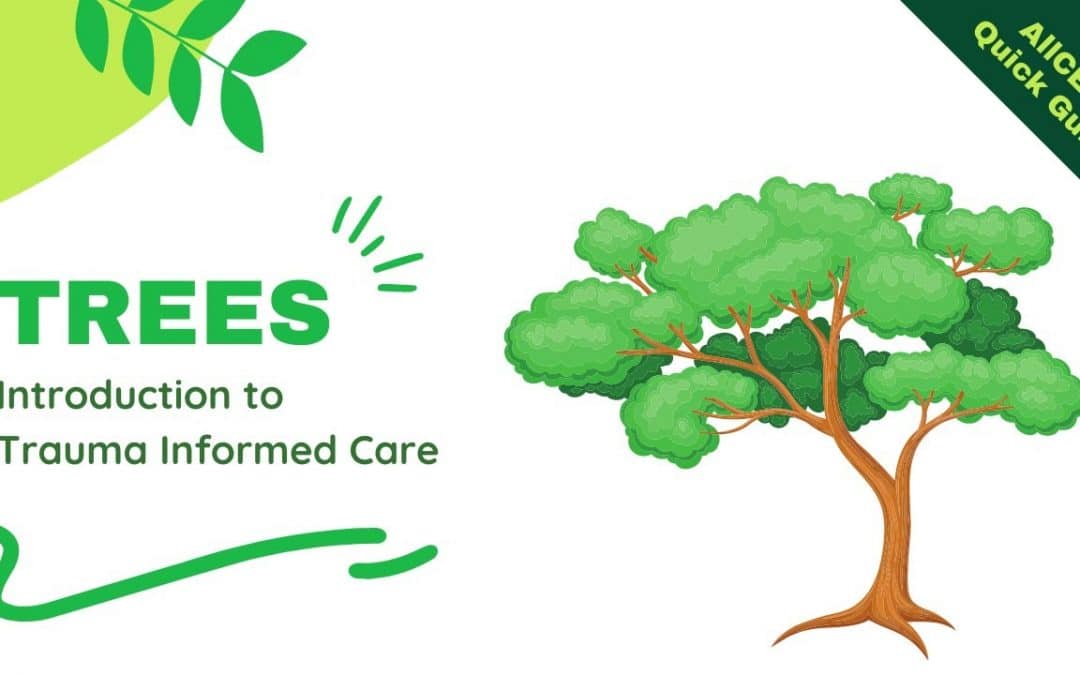 TREES An Introduction to Trauma Informed Care