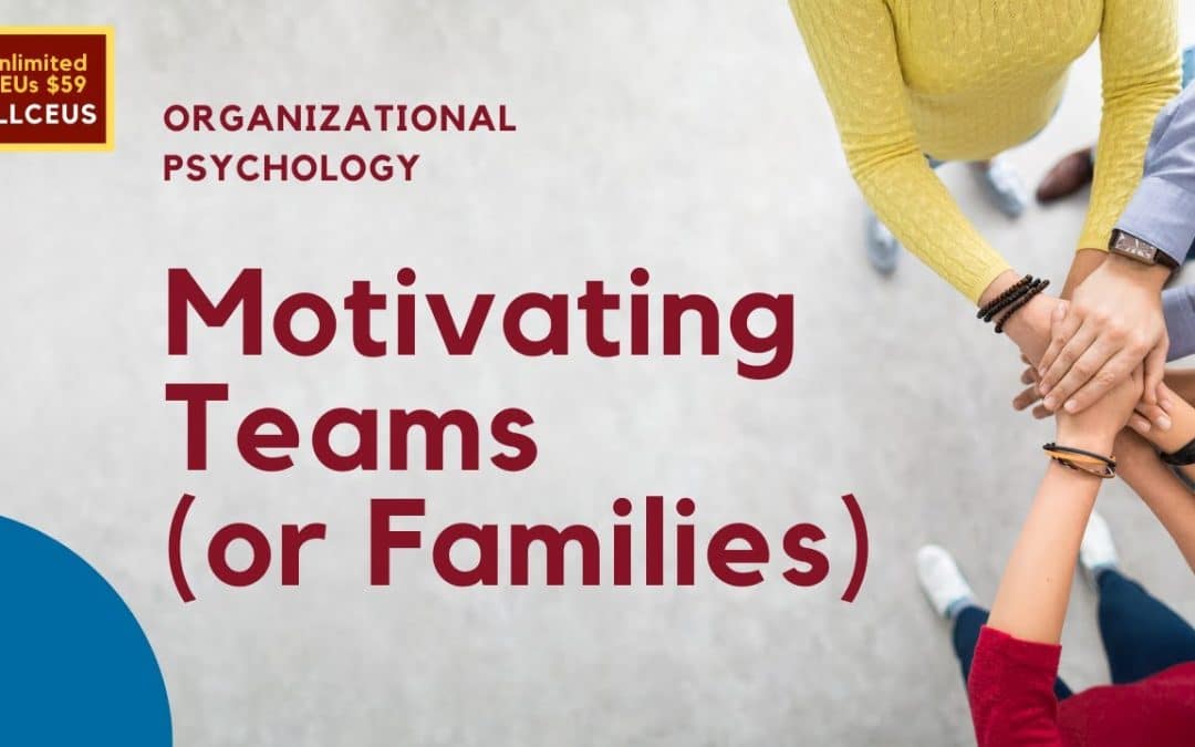 Motivating Teams: Organizational Psychology
