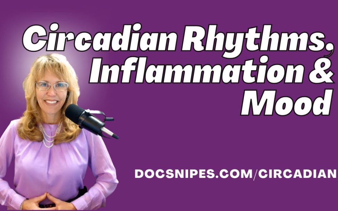 Circadian Rhythms Inflammation and Mood A Holistic Approach to Mental Health